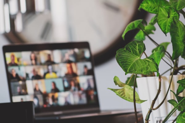 Publish content hubs, blogs, resource libraries, and student onboarding experiences at scale.